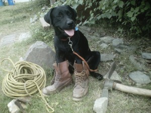 Cooper, ready to dig a hole for a bone, is equipped with climbing rope, hiking boots, and mattock.
